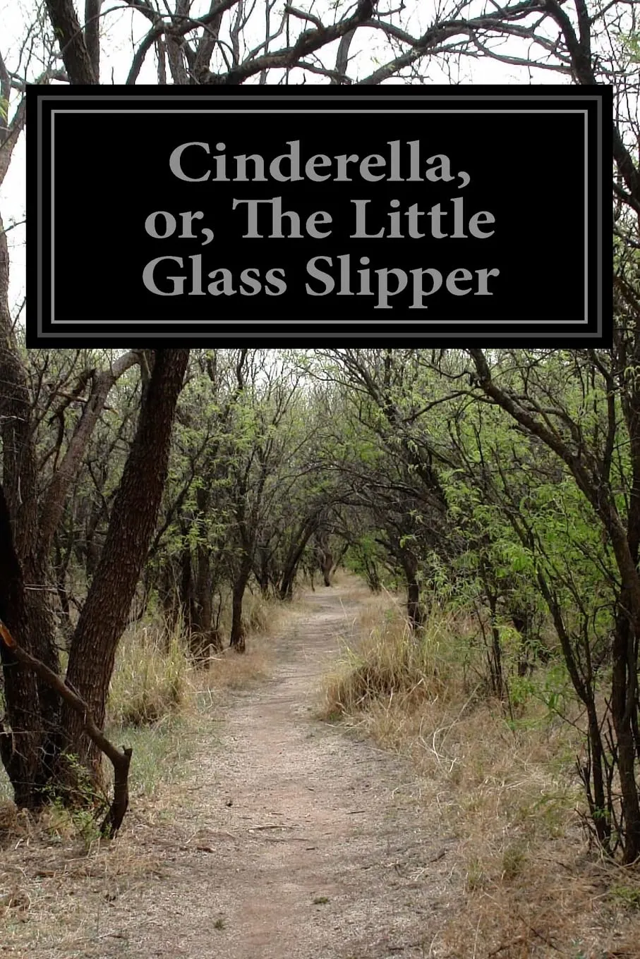 Cinderella, or, The Little Glass Slipper Paperback  Large Print, May 16, 2014